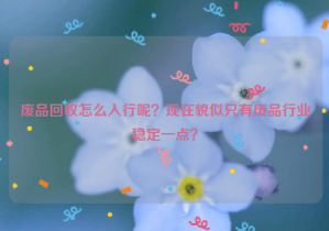 廢品回收怎么入行呢？現(xiàn)在貌似只有廢品行業(yè)穩(wěn)定一點？