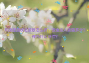 開(kāi)廢品回收站前景怎么樣，資金投入需要多少？要辦什么證件？