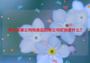 再生資源公司和廢品回收公司區(qū)別是什么？