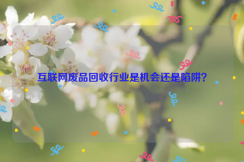 互聯(lián)網(wǎng)廢品回收行業(yè)是機(jī)會(huì)還是陷阱？