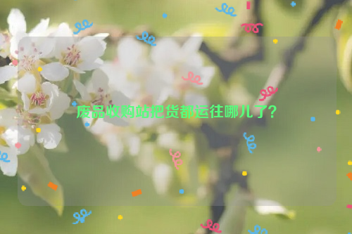 廢品收購(gòu)站把貨都運(yùn)往哪兒了？