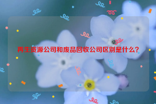 再生資源公司和廢品回收公司區(qū)別是什么？