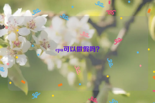 cpu可以做假嗎？